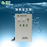 5g空气型臭氧发生器